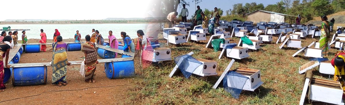 Shabari Mahamandal — Tribal financial development