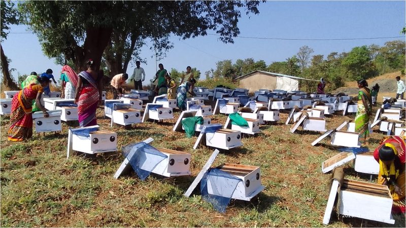 Shabari Mahamandal activity 2