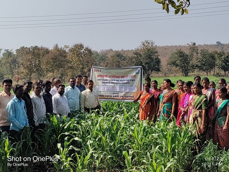 Shabari Mahamandal activity 3