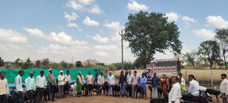 Shabari Mahamandal activity 6